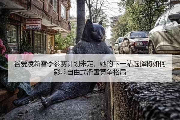 gu-ai-ling-xin-xue-ji-can-sai-ji-hua-wei-ding-ta-de-xia-yi-zhan-xuan-ze-jiang-ru-he-ying-xiang-zi-you-shi-hua-xue-jing-2-323.jpg